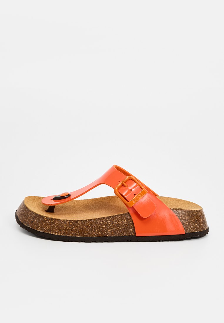 Scholl ANAIS