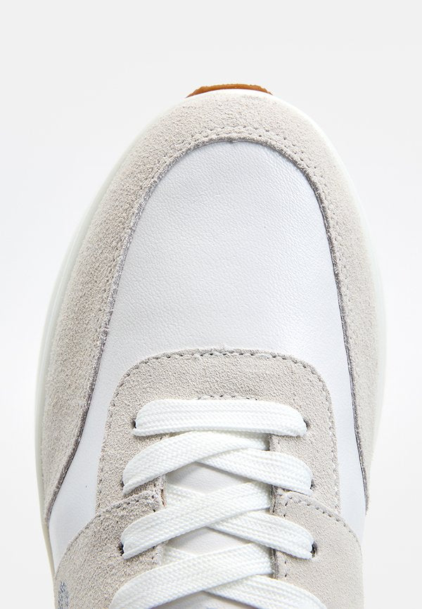 Pollini