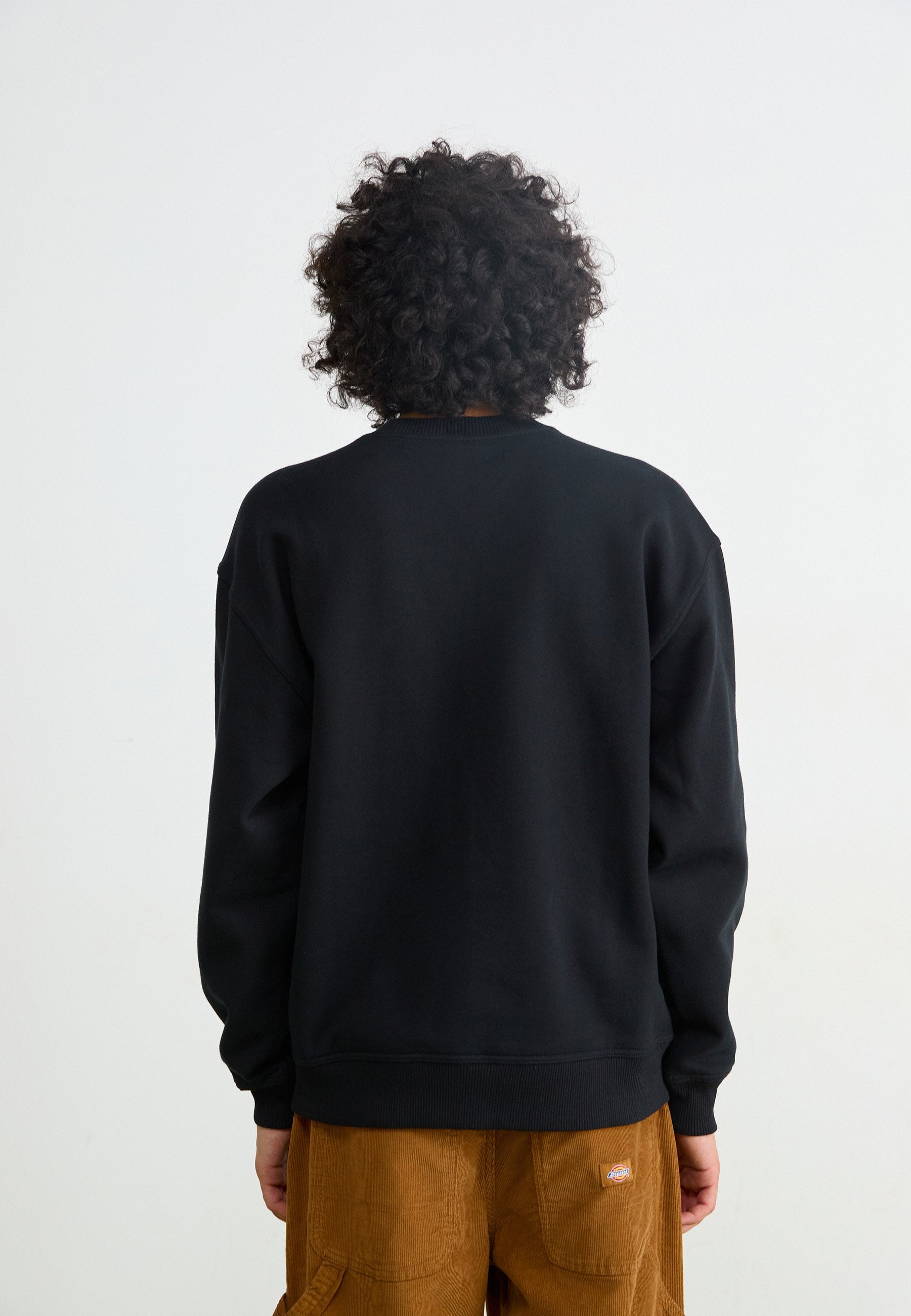Dickies CLANCY