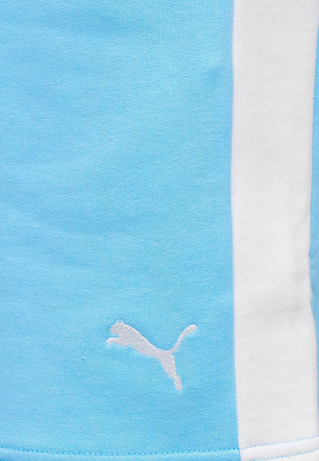 Puma T7 RELAXED SHORTS 7"
