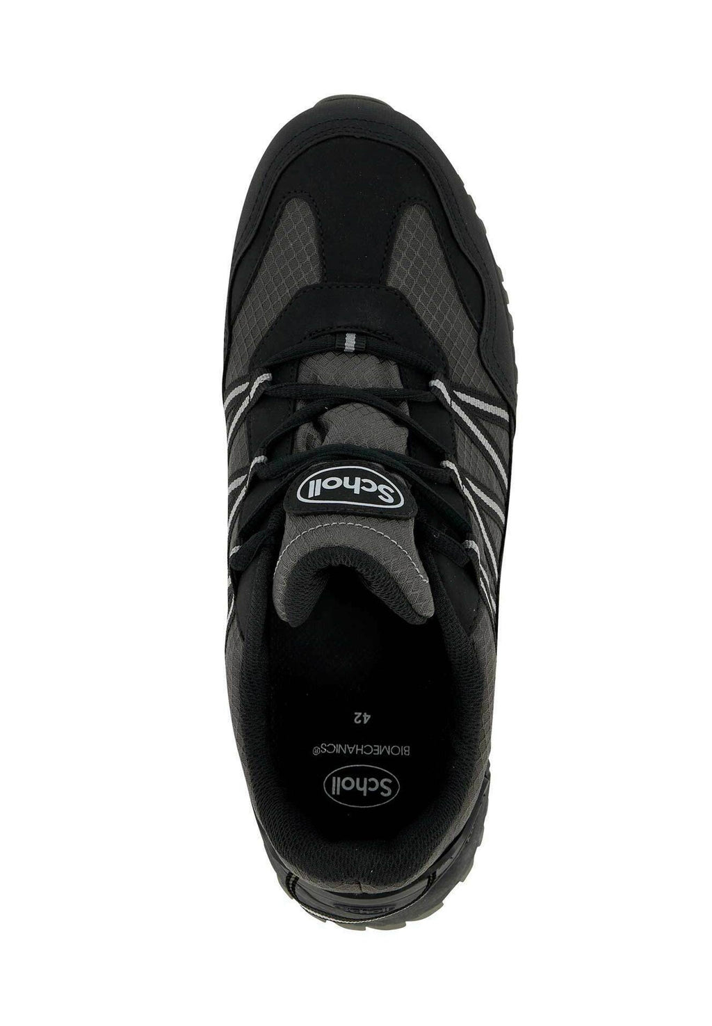 Scholl
