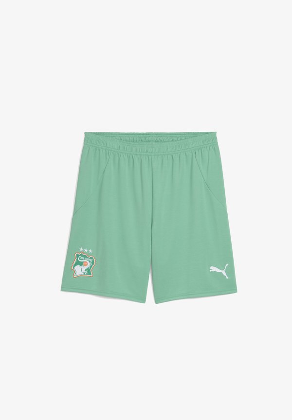 Puma ELFENBEINKÜSTE  - National team wear - jade frost- white