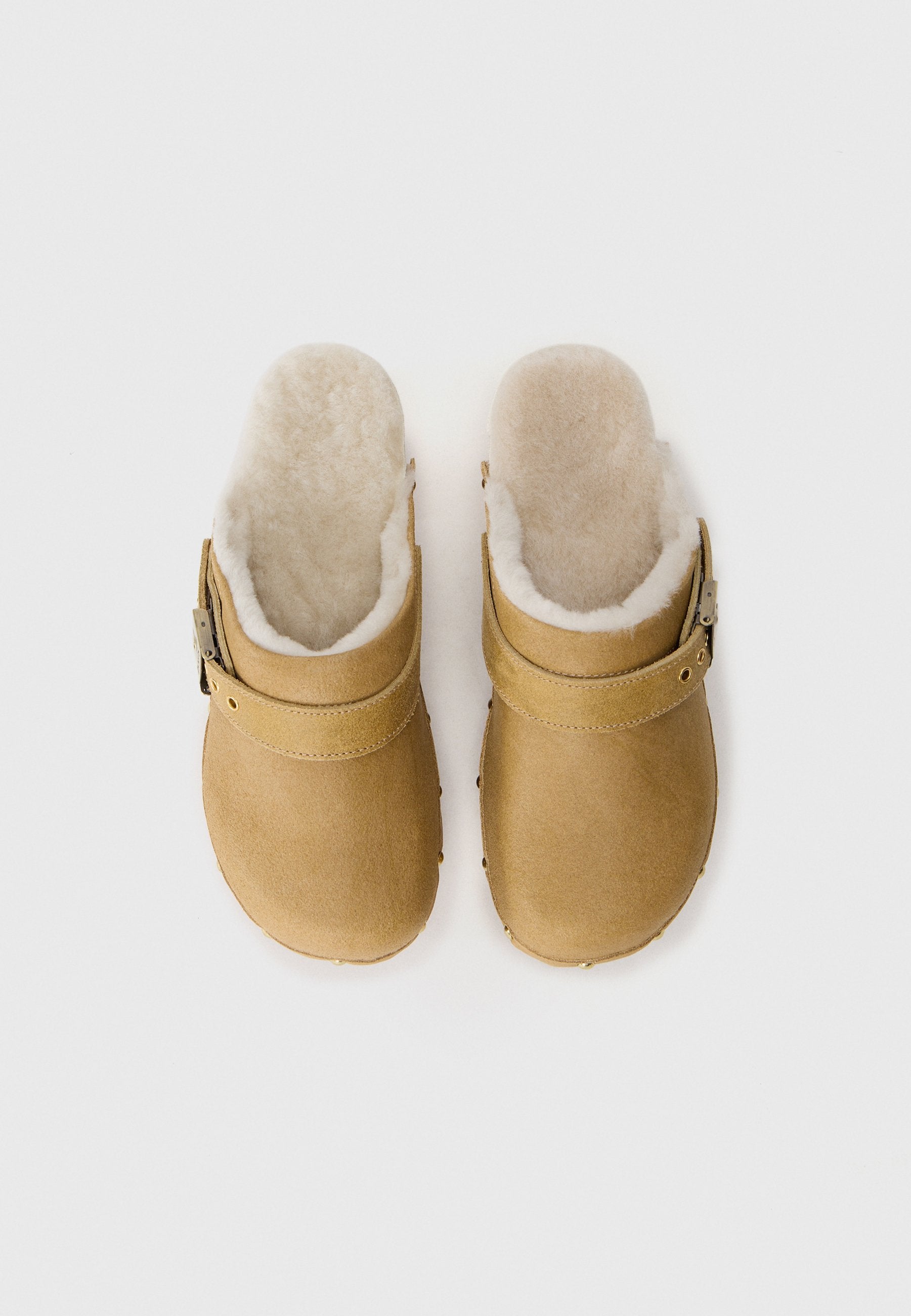 Scholl PESCURA ROBIN