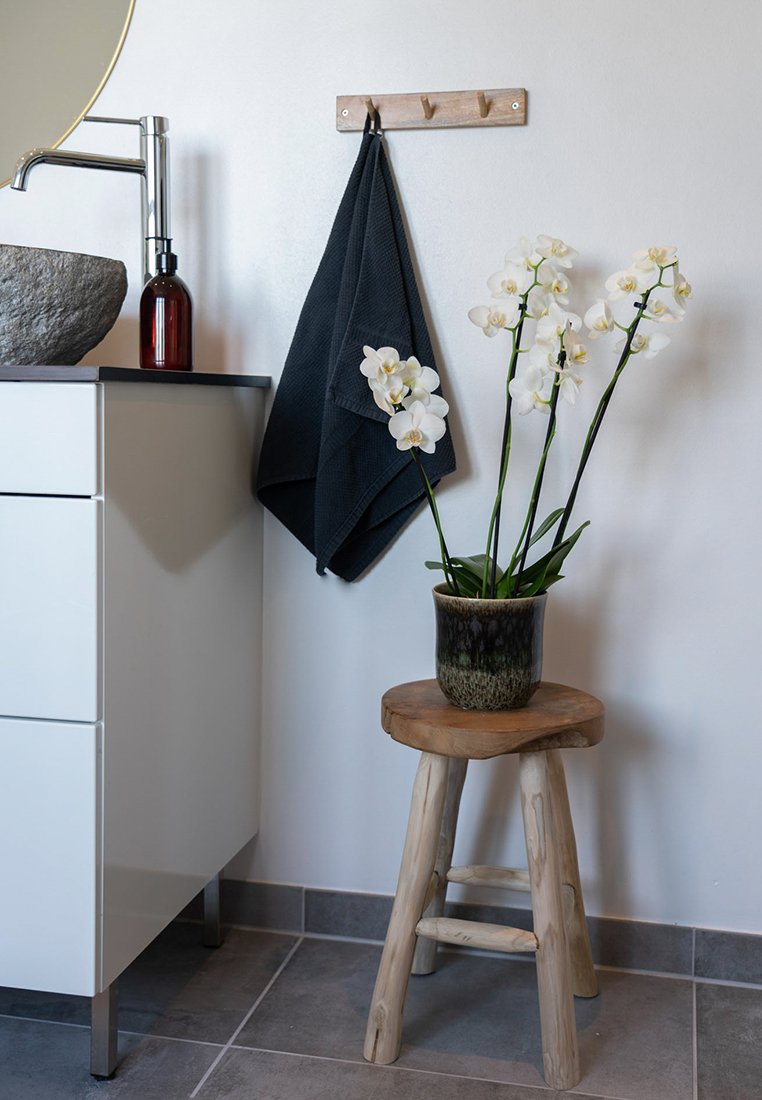 House Nordic BADIA