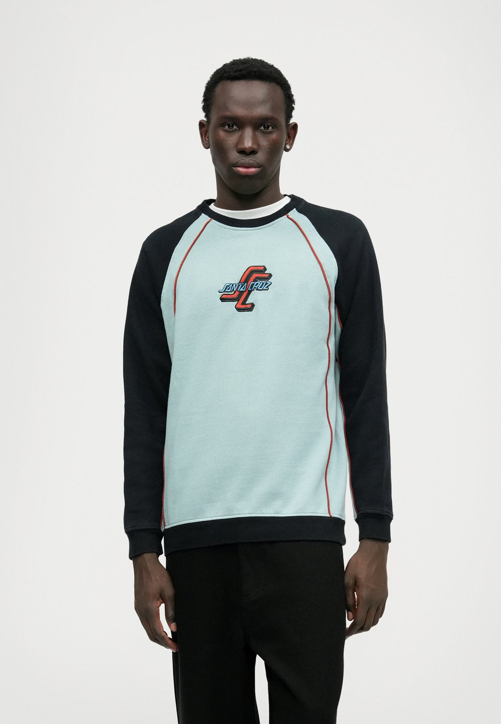 Santa Cruz TEAM CREW UNISEX