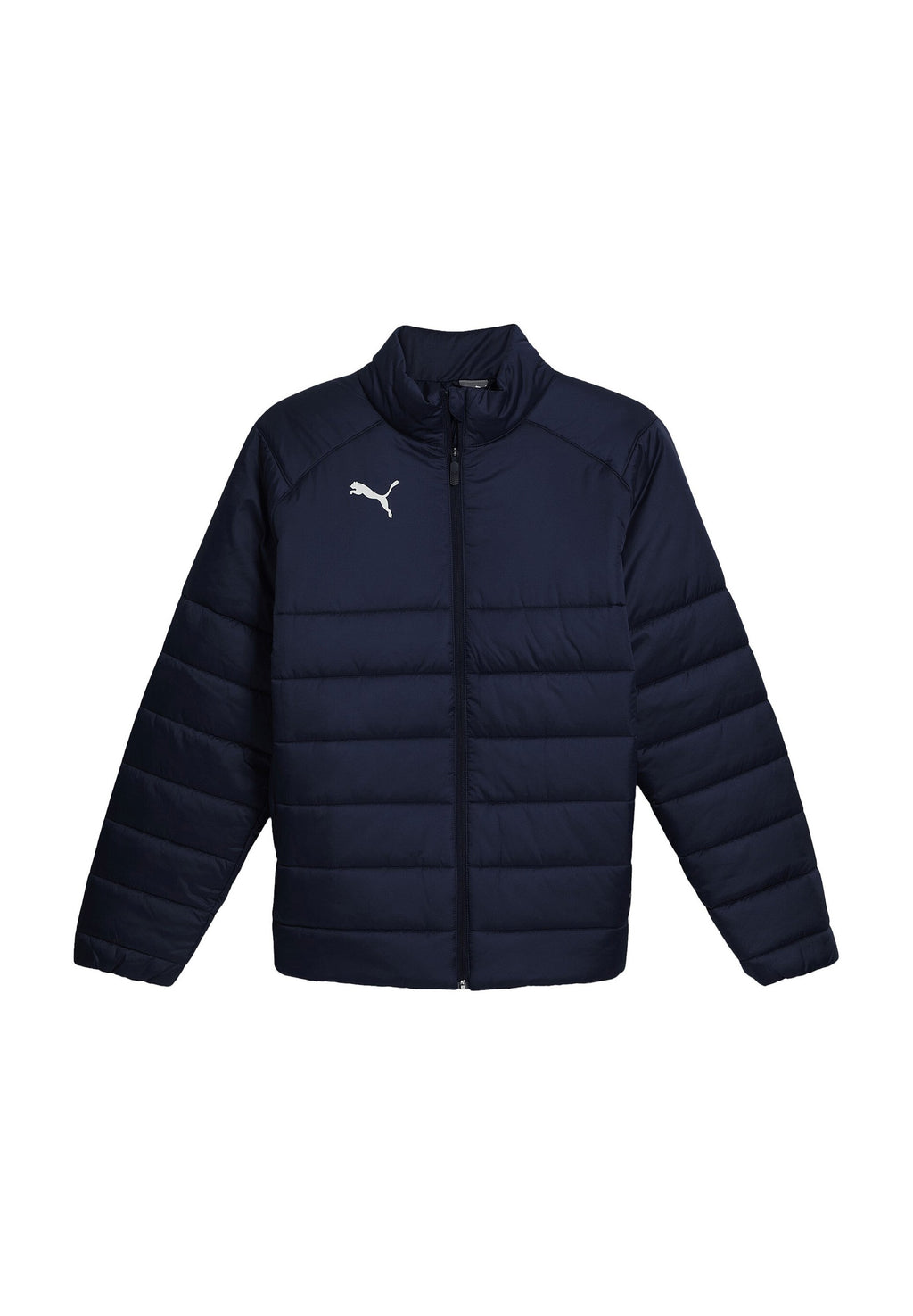 Puma FUSSBALL - TEAM - ALLWETTER LIGA PADDED