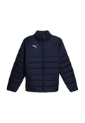 Puma FUSSBALL - TEAM - ALLWETTER LIGA PADDED