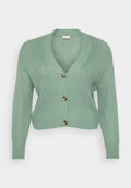 Mintgrüner gestrickter Cardigan mit V-Ausschnitt, langen Ärmeln und drei braunen Knöpfen vorne. Strukturiertes Material, taillierter Schnitt.