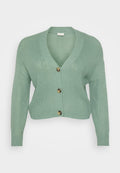 Mintgrüner gestrickter Cardigan mit V-Ausschnitt, langen Ärmeln und drei braunen Knöpfen vorne. Strukturiertes Material, taillierter Schnitt.