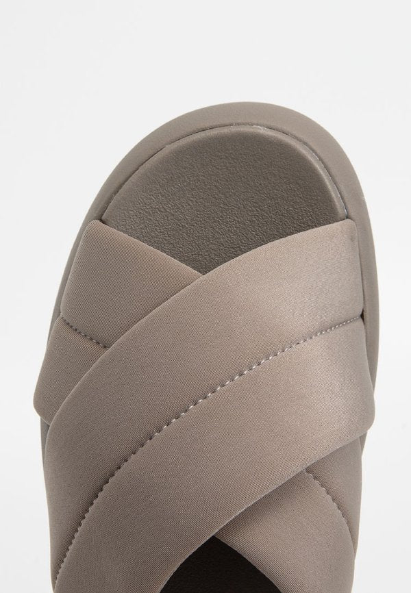 TOMS