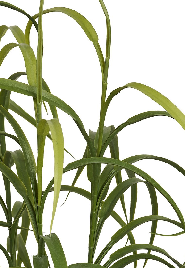 House Nordic GRASS