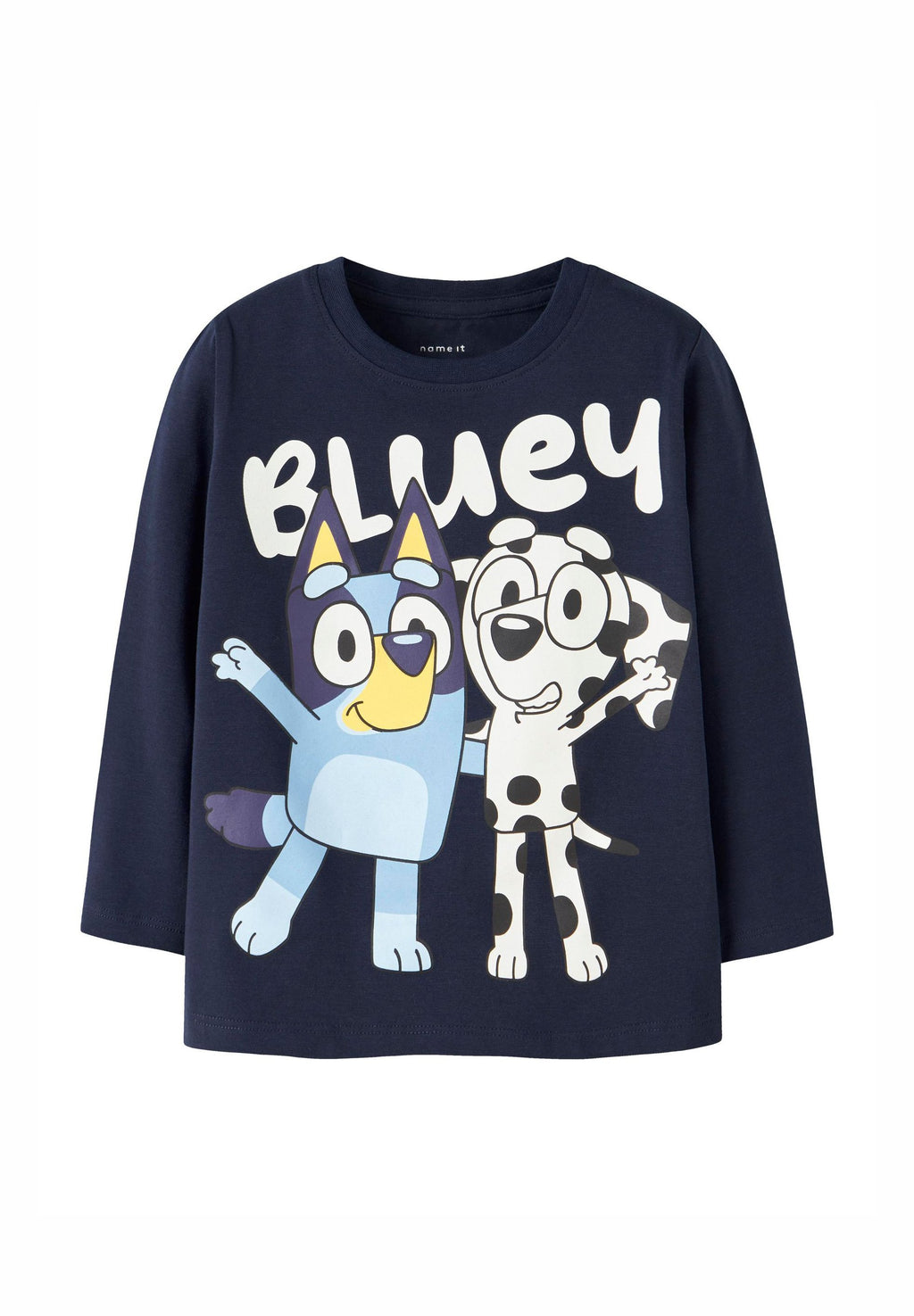 Name it Bluey