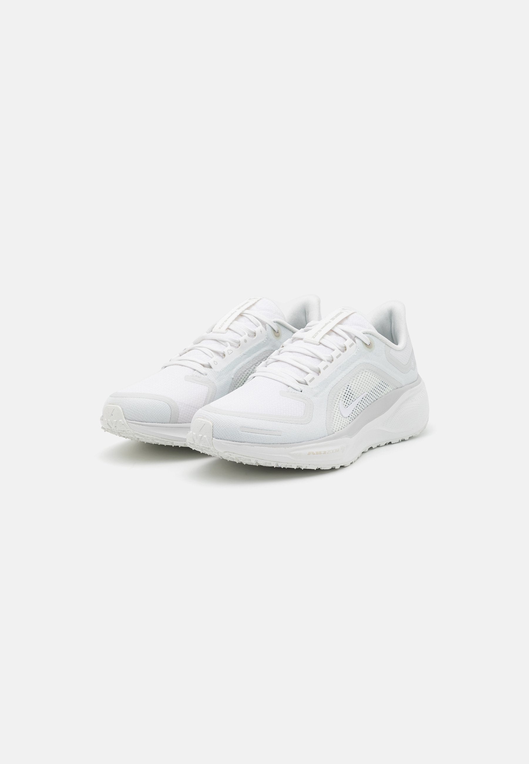 Nike Performance PEGASUS 41 GTX