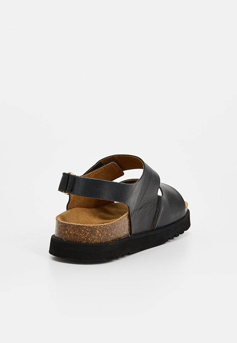 Scholl SIERRA