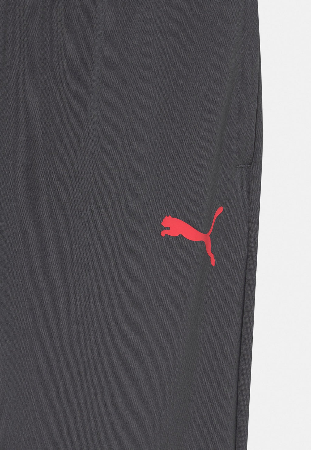 Puma NEYMAR TRAINING PANT JR UNISEX