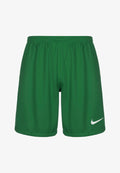 Nike Performance LEAGUE III - Sports shorts - pine green white white