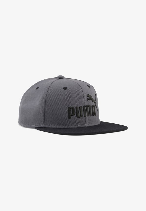 Puma ESSENTIALS NO. 1 LOGO CAP MIT FLACHEM SCHIRM UNISEX - Cap - moody gray- black