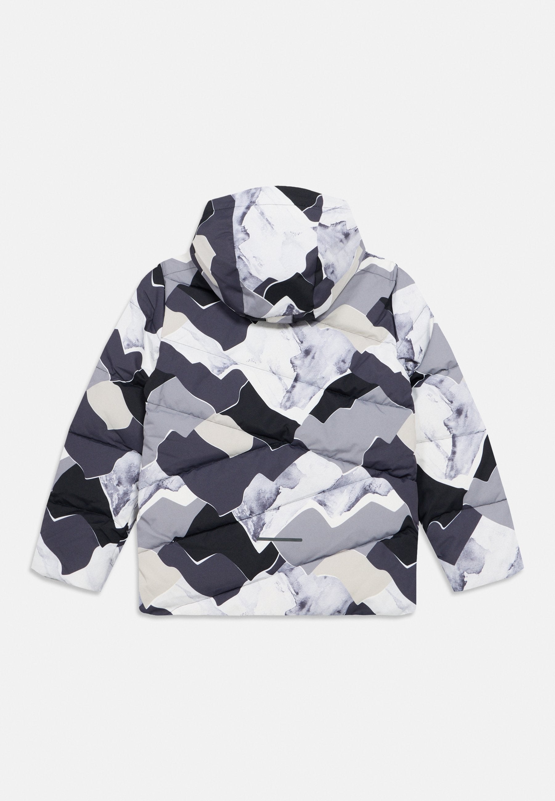 Icepeak LARNED