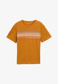 TOM TAILOR Print T-shirt - braun