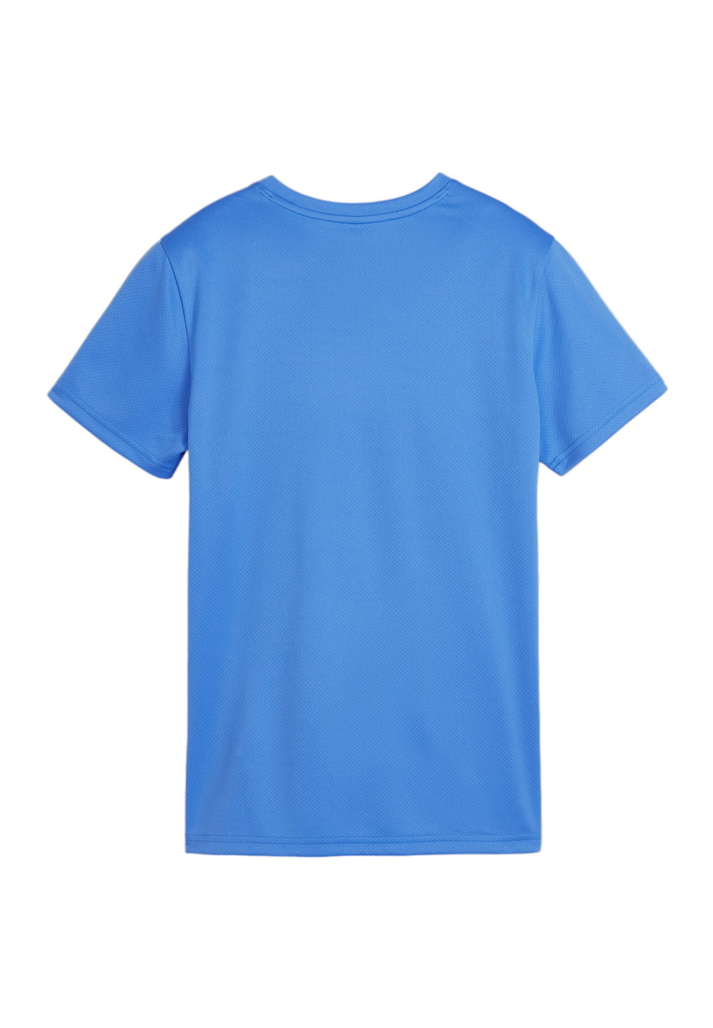 Puma TEAMGOAL