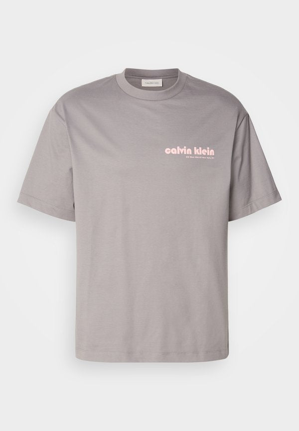 Calvin Klein Jeans BAUHAUS - Print T-shirt - steeple gray