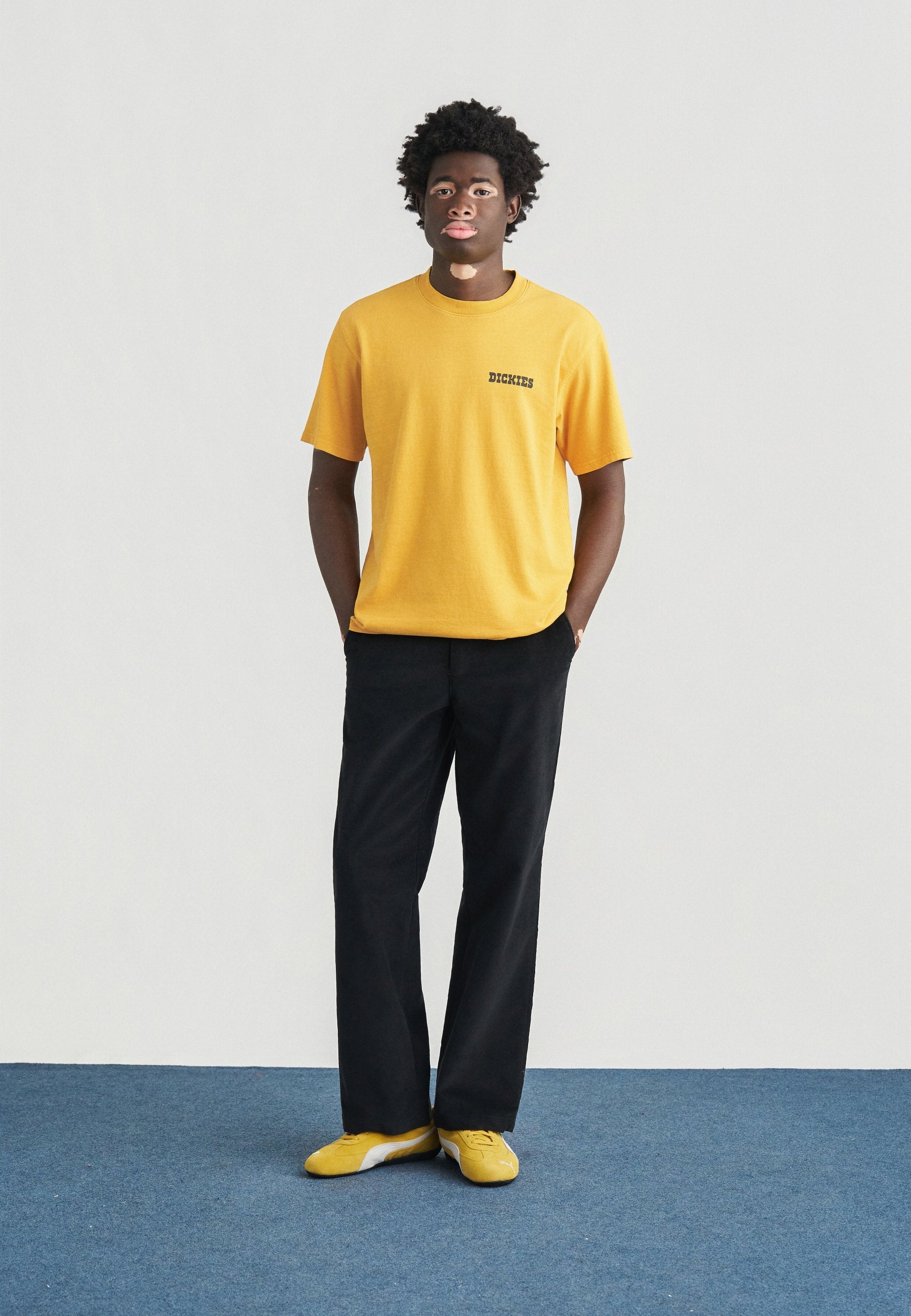 Dickies DARRTOWN TEE