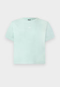 Hellgrünes T-Shirt mit kurzen Ärmeln und Rundhalsausschnitt, mit kleinem weißen North Face-Logo mittig auf der Brust.