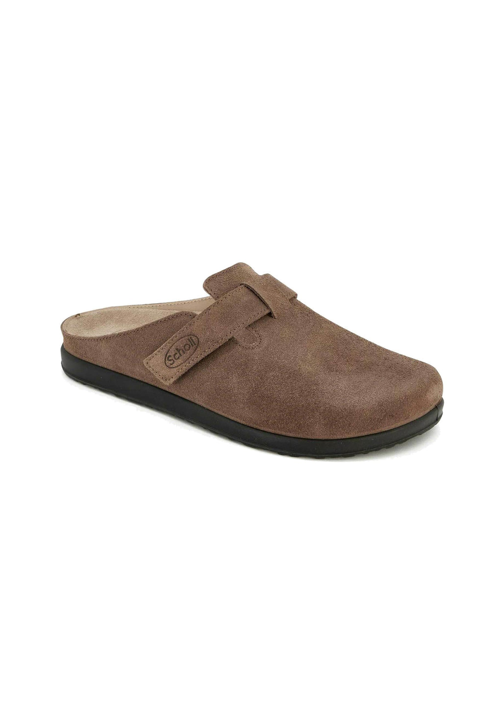 Scholl