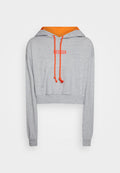 Levi's® GRAPHIC LAUNDRY HOODIE - Hoodie - grey