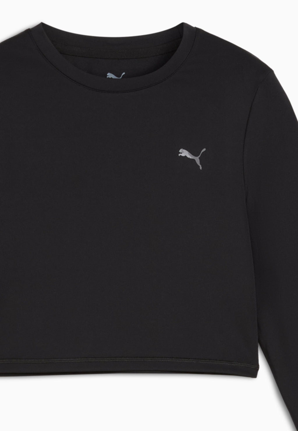 Puma CROPPED
