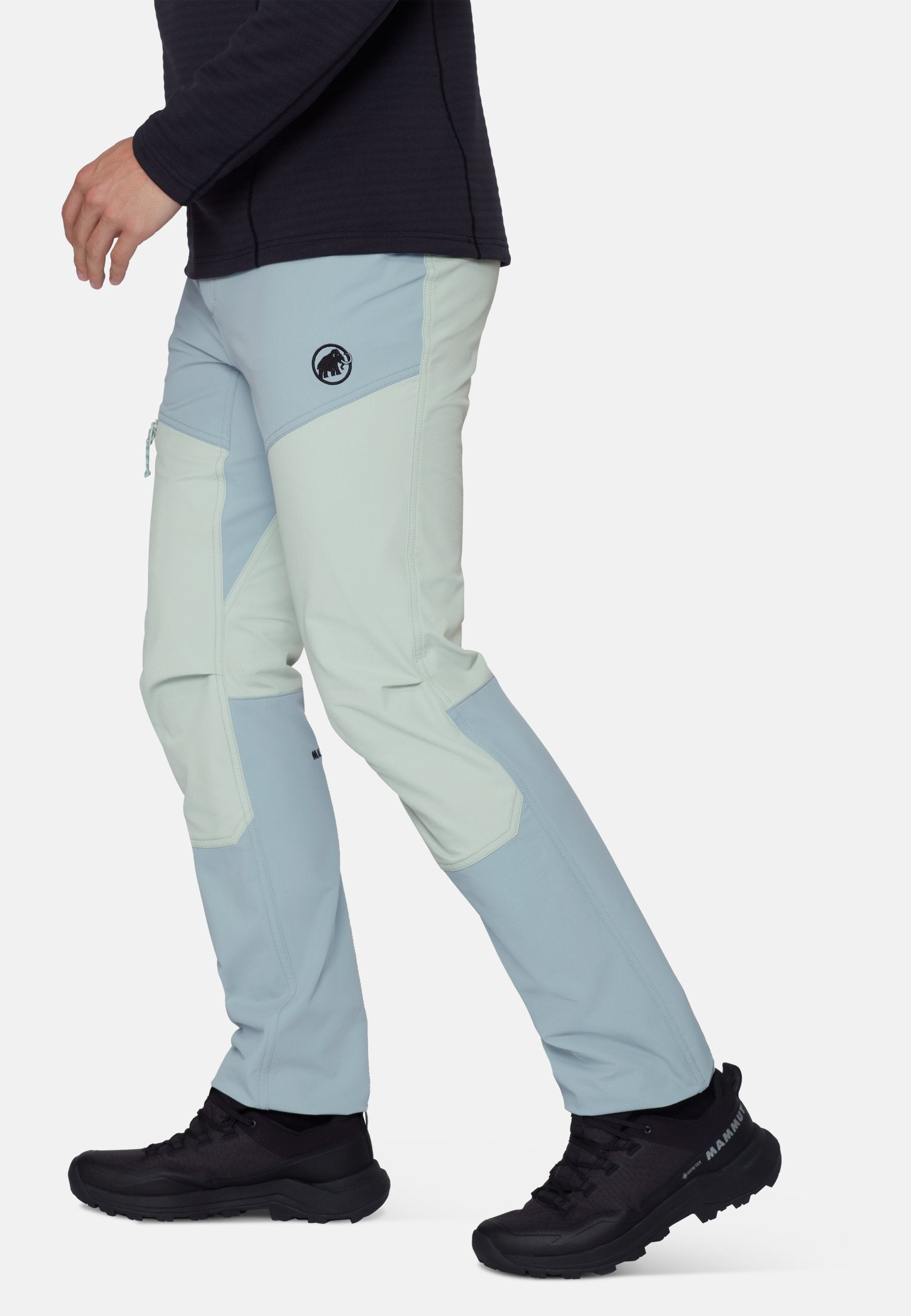 Mammut TAISS