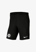 Nike Performance STURM GRAZ REPLICAS NATIONAL - Sports shorts - schwarz