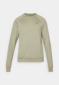 Hellgrünes Sweatshirt aus weichem Stoff, mit Rundhalsausschnitt, langen Raglanärmeln und kleinem schwarzem Nike-Logo auf der Brust.