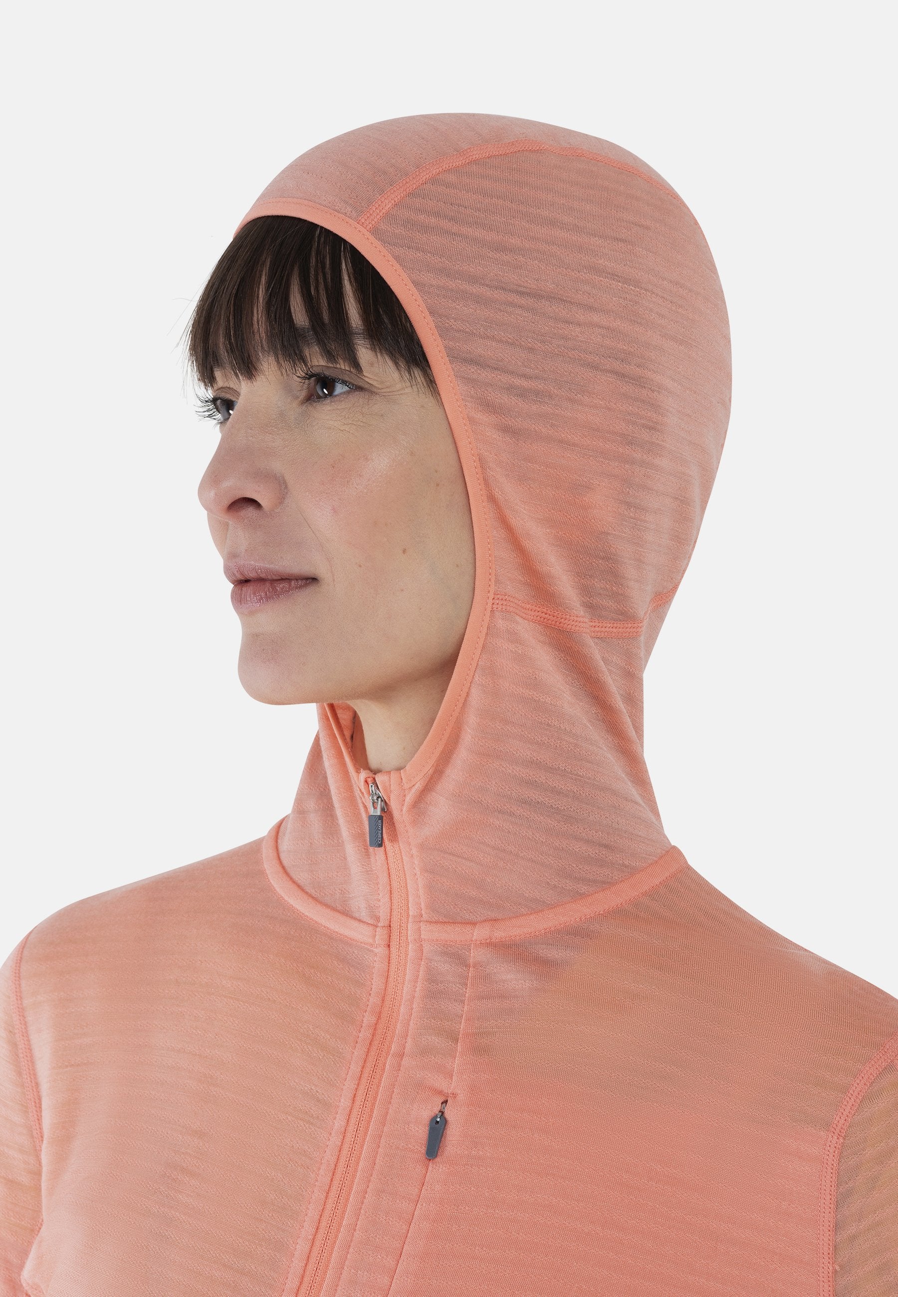 icebreaker MERINO 200 MID WEIGHT  REAL FLEECE DESCENDER  ZIP HOODIE