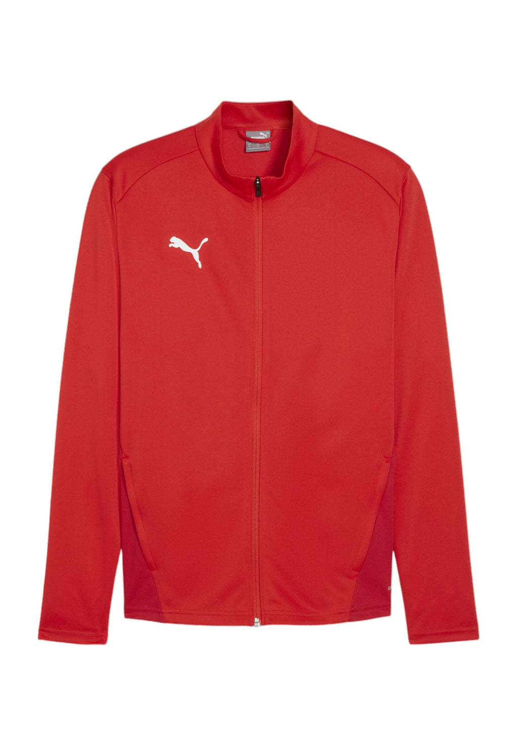 Puma TEAMGOAL