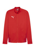 Puma TEAMGOAL