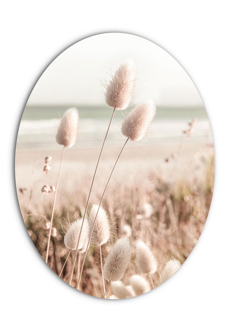 Orange Wallz GRASSES ON BEACH