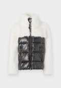Blauer DOVE
