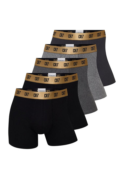 5 PACK Media 1