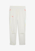 Puma ALL PRO - Tracksuit bottoms - vapor gray