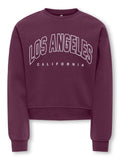 ONLY GIRLS KOGSWEAT LS CREW OVZ STAT SWT NOOS