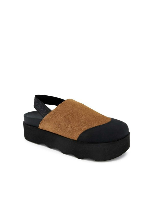 Scholl ABBY
