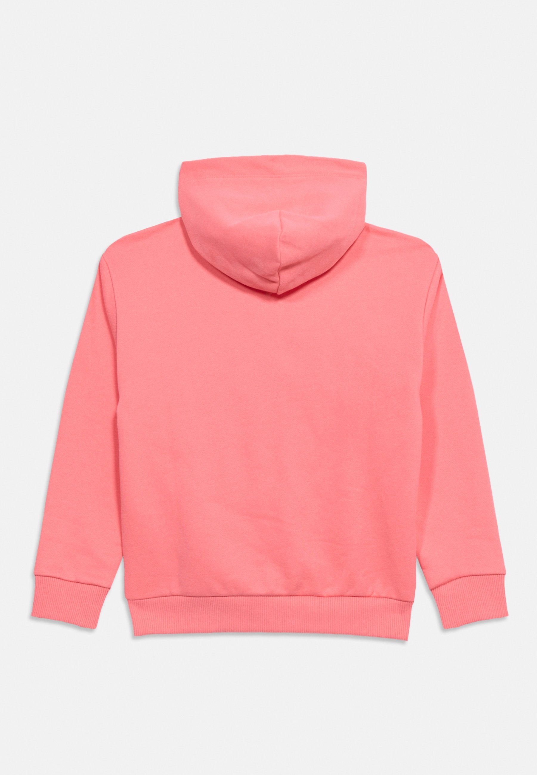 LOGO BRUSHED FLEECE ZIP-THRU HOODY Media 5