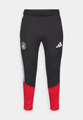 DEUTSCHLAND DFB TRAINING PANT Media 1