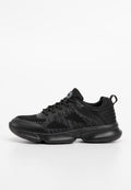 Scholl CAMDEN TWO