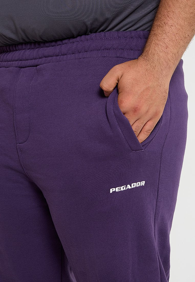 Pegador