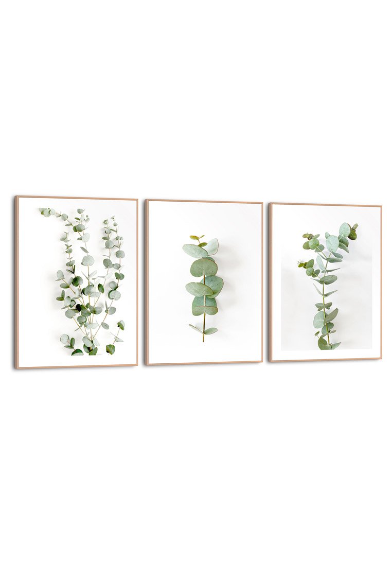 Orange Wallz EUCALYPTUS TRIO 3 PACK