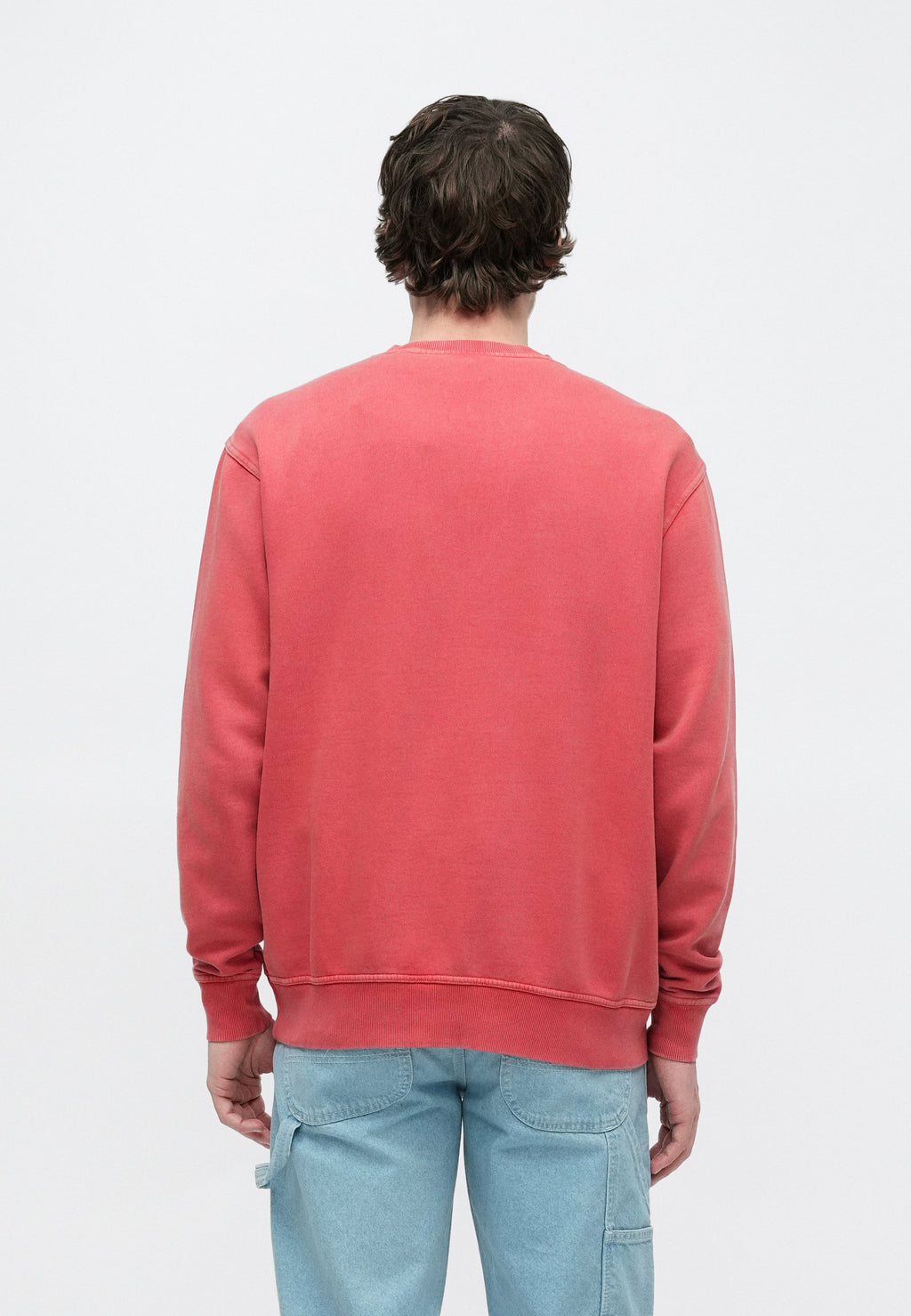 Dickies PLENTYWOOD