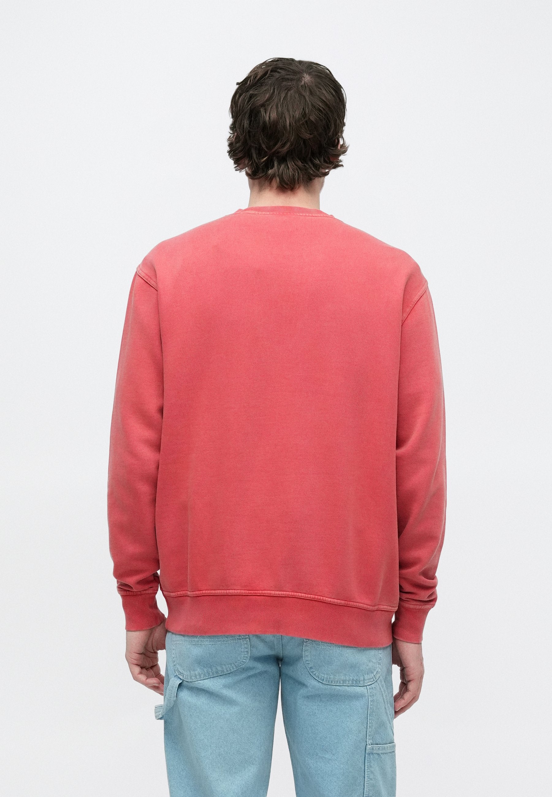 Dickies PLENTYWOOD