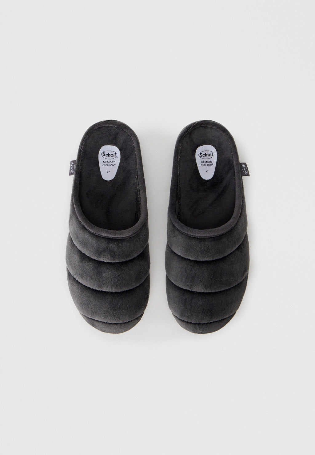 Scholl CLOUDY